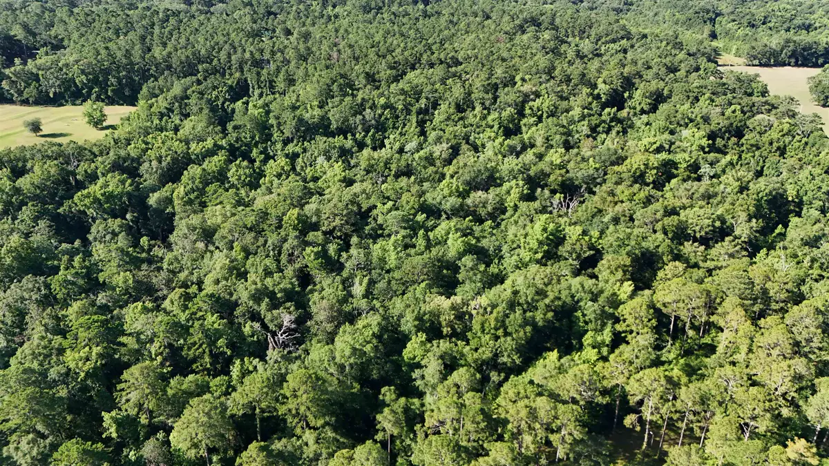 576 Cox Road, Monticello, FL 32344 - #1