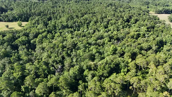 576 Cox Road, Monticello, FL 32344