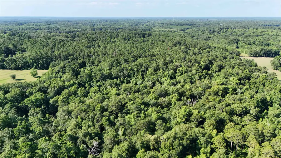 576 Cox Road, Monticello, FL 32344 - #3