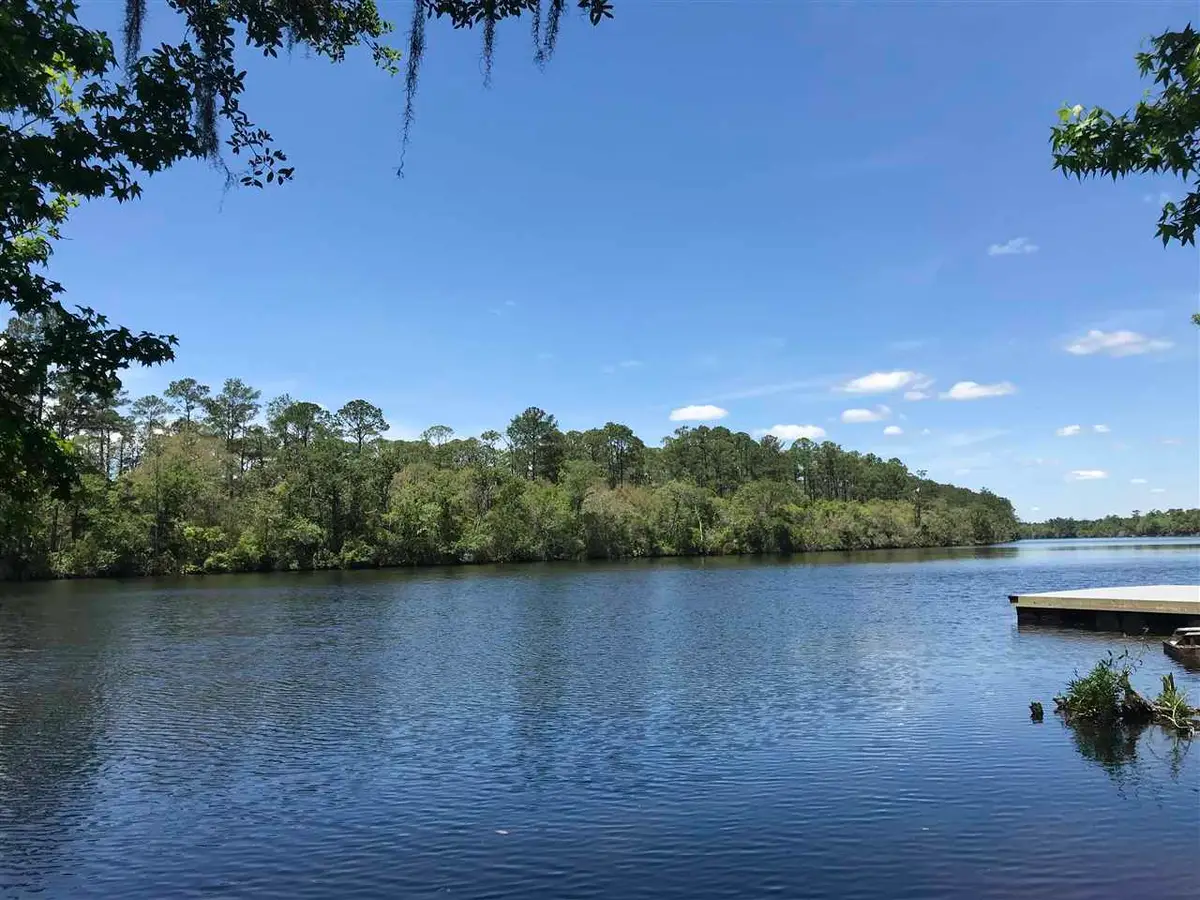 xx Big Fish Drive, Sopchoppy, FL 32358 - #1
