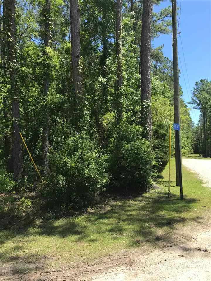 xx Big Fish Drive, Sopchoppy, FL 32358 - #3