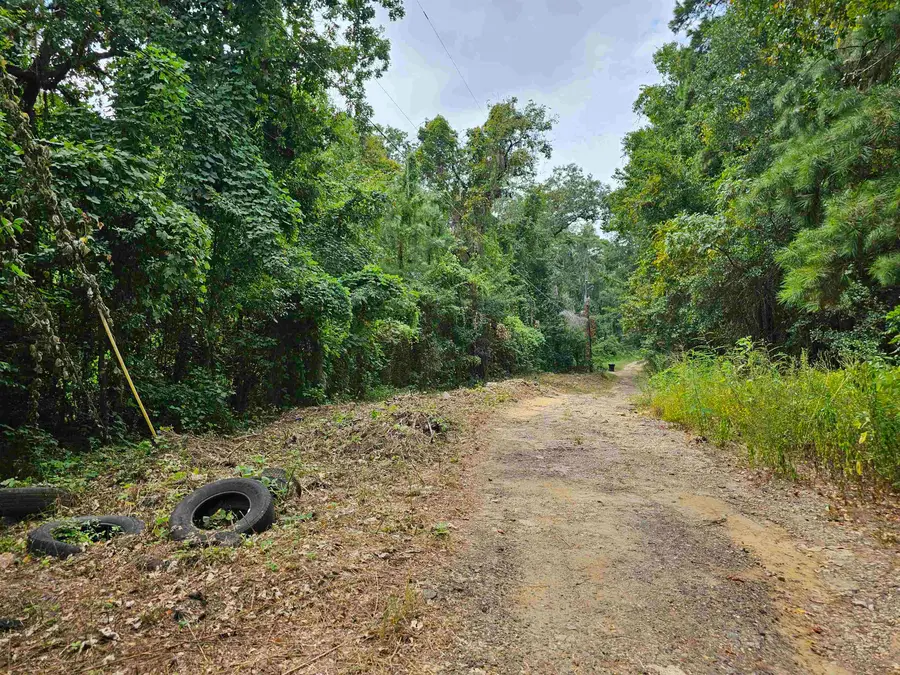 2023 Dennis Street, Tallahassee, FL 32308 - #3
