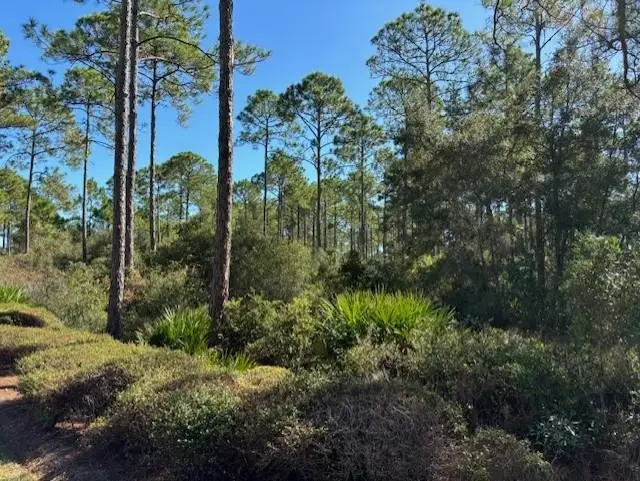 102 Fishhook Way, Saint Teresa, FL 32358 - #3