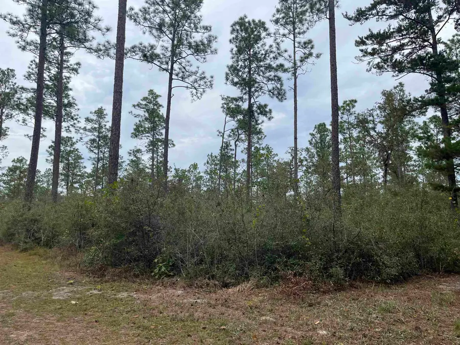 XX Old Shell Point Road, Crawfordville, FL 32327 - #3