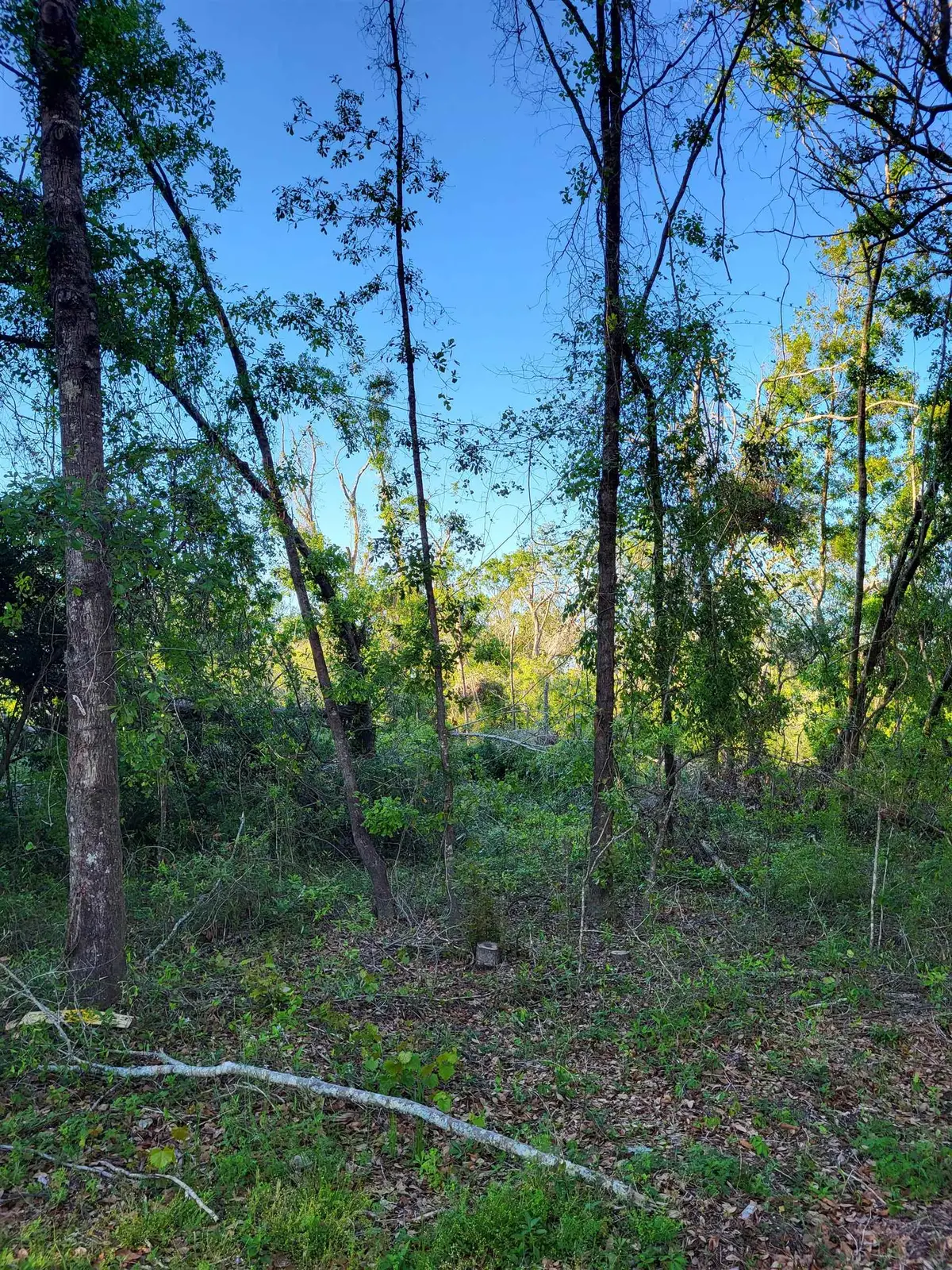 Lot 85,86 Canopy Lane, Perry, FL 32347 - #1