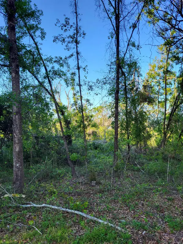 Lot 85,86 Canopy Lane, Perry, FL 32347