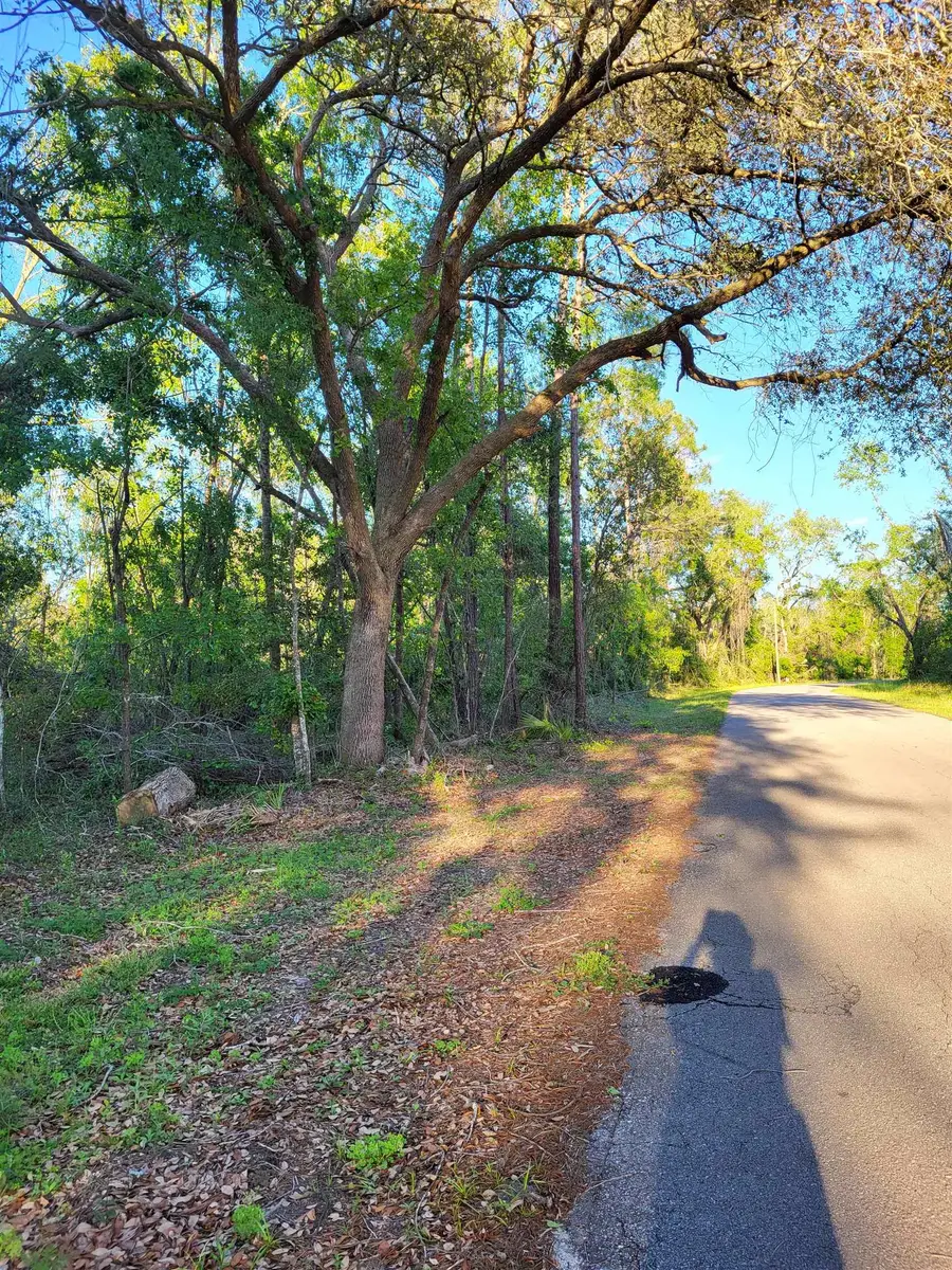 Lot 85,86 Canopy Lane, Perry, FL 32347 - #2