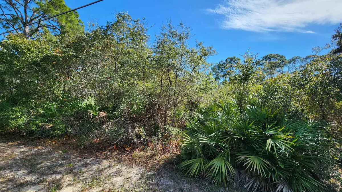 Lot 19 Monocoupe Drive, Panacea, FL 32346 - #1