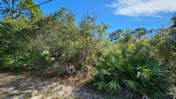 Lot 19 Monocoupe Drive, Panacea, FL 32346