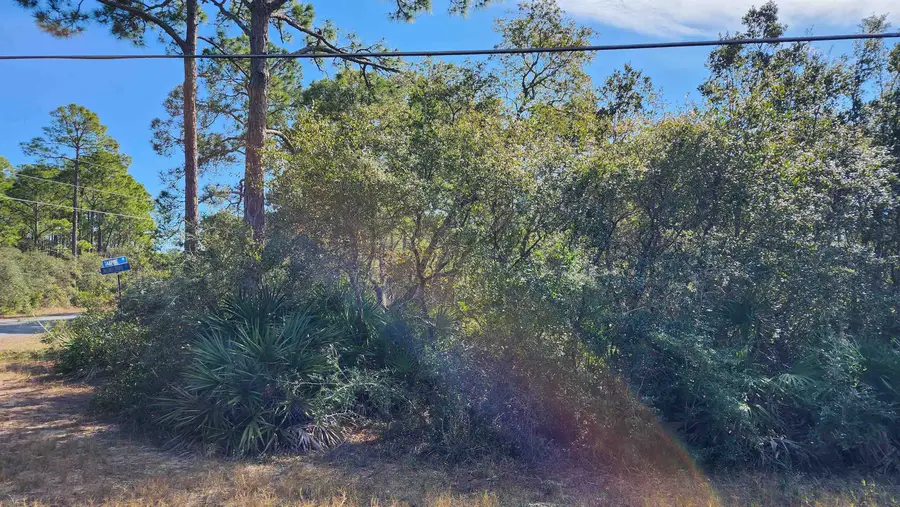 Lot 19 Monocoupe Drive, Panacea, FL 32346 - #3