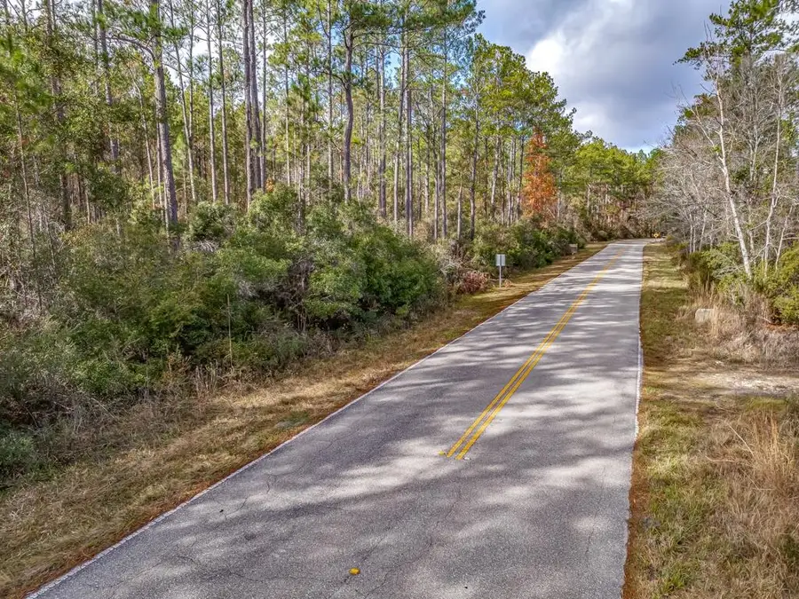 XX Lighthouse Road, Crawfordville, FL 32327 - #3