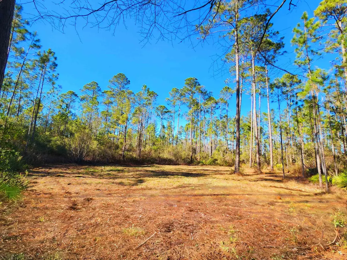 Lot 116 SW Pier Road, Greenville, FL 32331 - #1