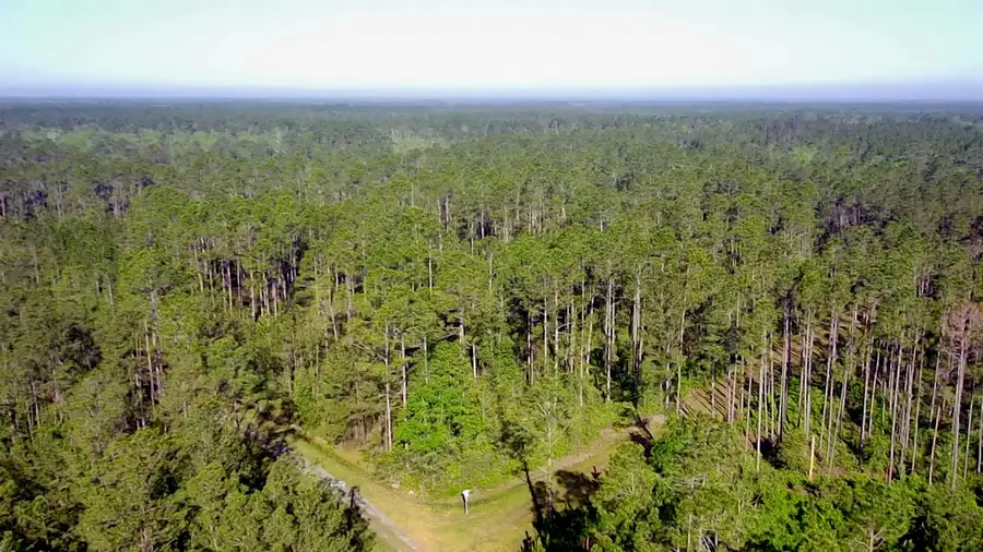 Lot 116 SW Pier Road, Greenville, FL 32331 - #2
