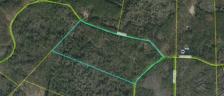 Lot 116 SW Pier Road, Greenville, FL 32331 - #3