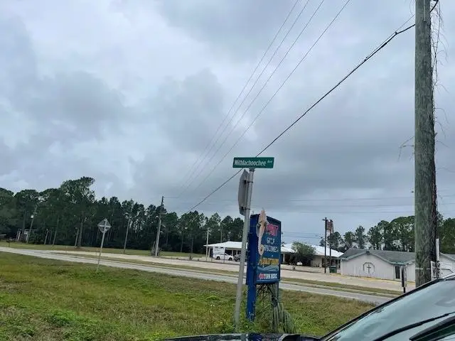 21 Withlachoochee Avenue, Panacea, FL 32346 - #3