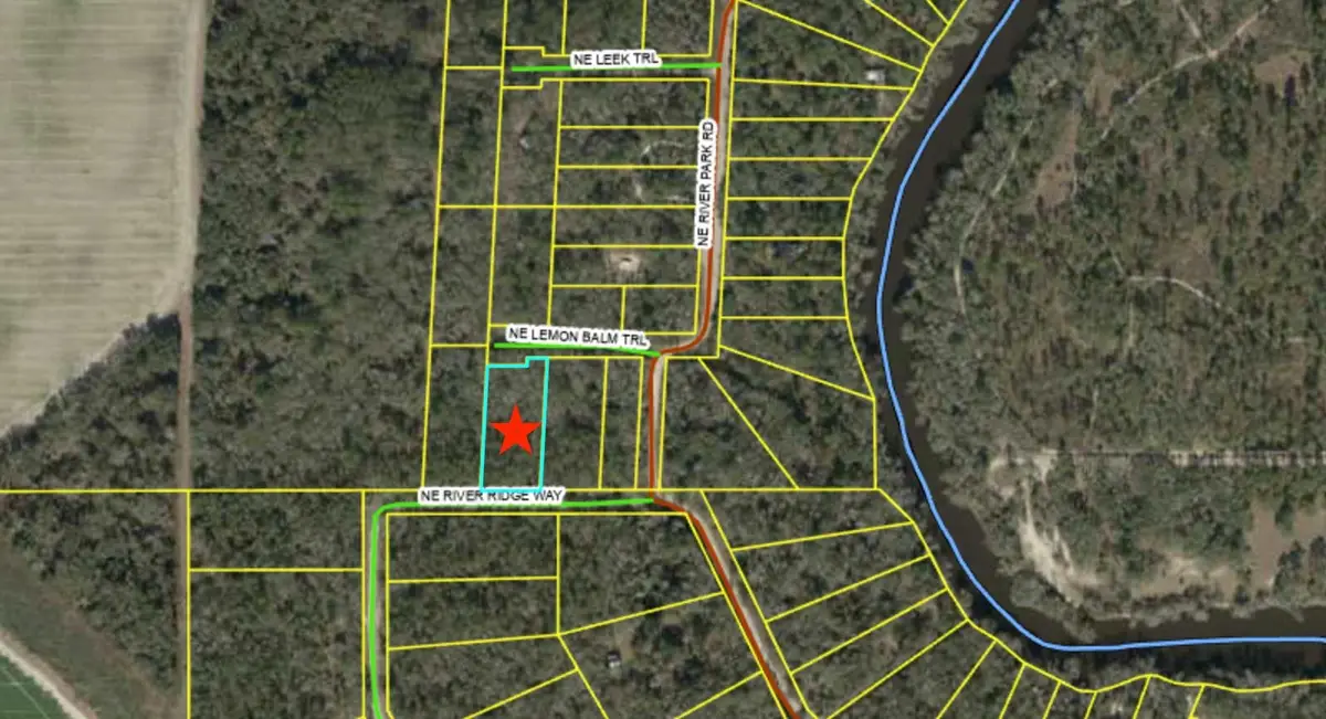 Vacant NE River Ridge Way, Lee, FL 32059 - #1
