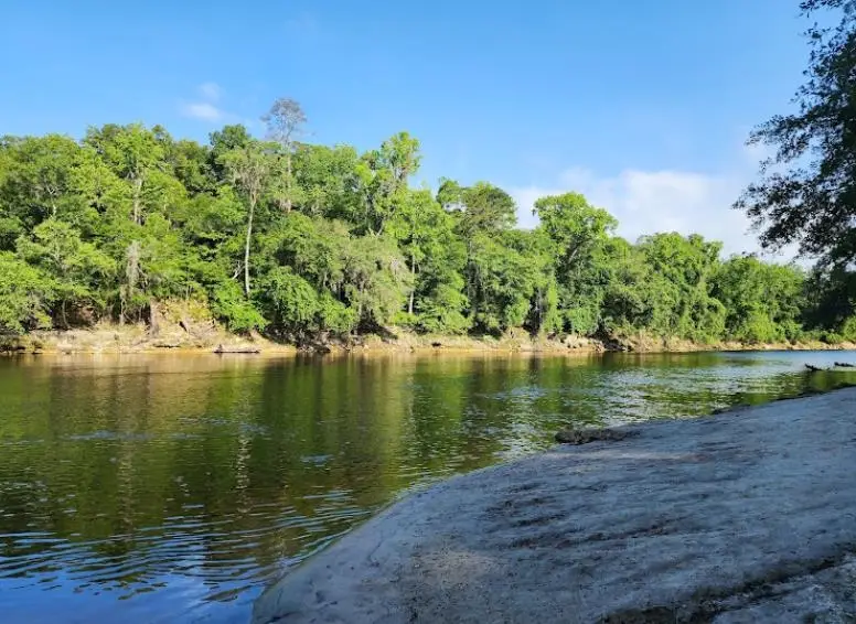 Vacant NE River Ridge Way, Lee, FL 32059 - #2