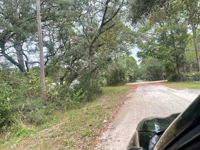 XXX Alapaha Avenue, Panacea, FL 32346 - #2
