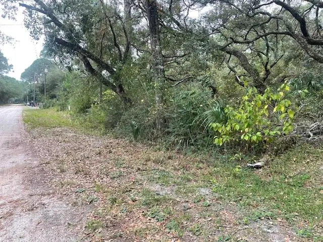 XXX Alapaha Avenue, Panacea, FL 32346 - #3