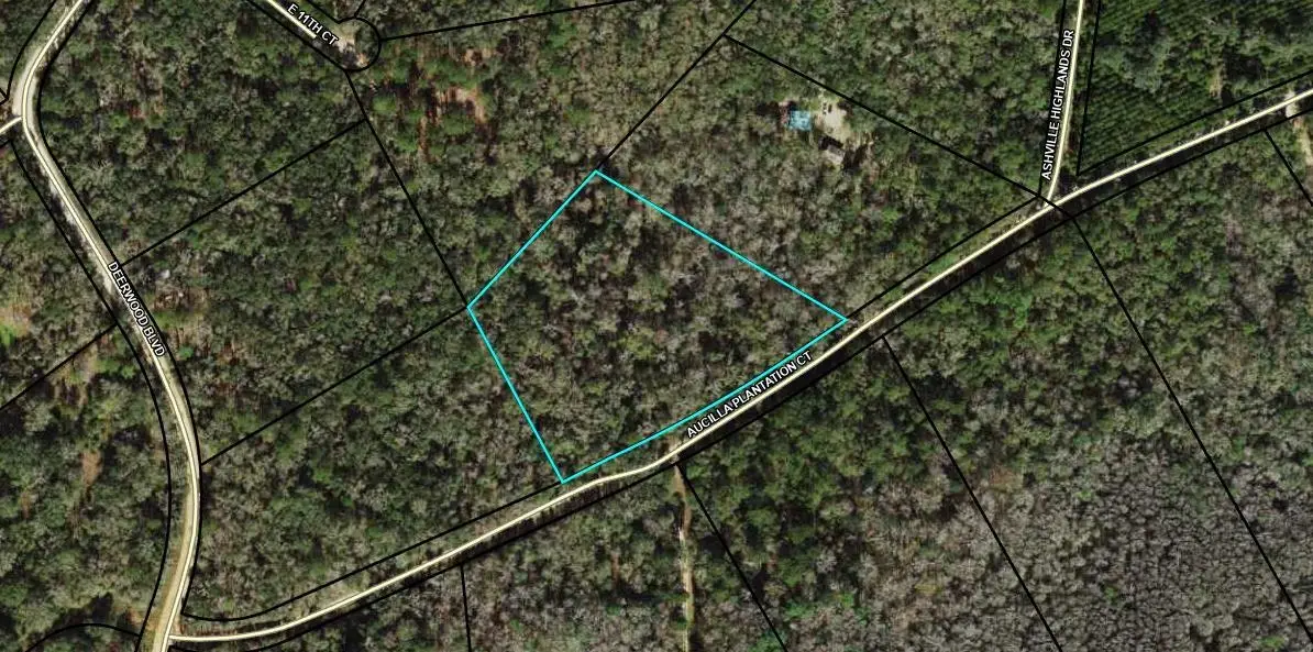 TBD Aucilla Plantation Court, Greenville, FL 32331 - #1