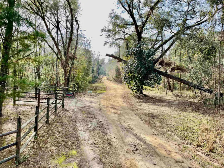 TBD Aucilla Plantation Court, Greenville, FL 32331 - #3