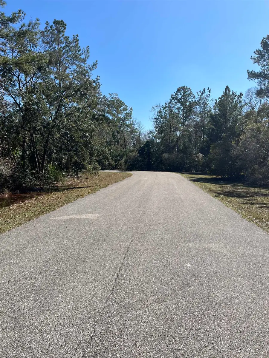 Lot 10 Burnt Pine Loop, Saint Marks, FL 32355 - #2