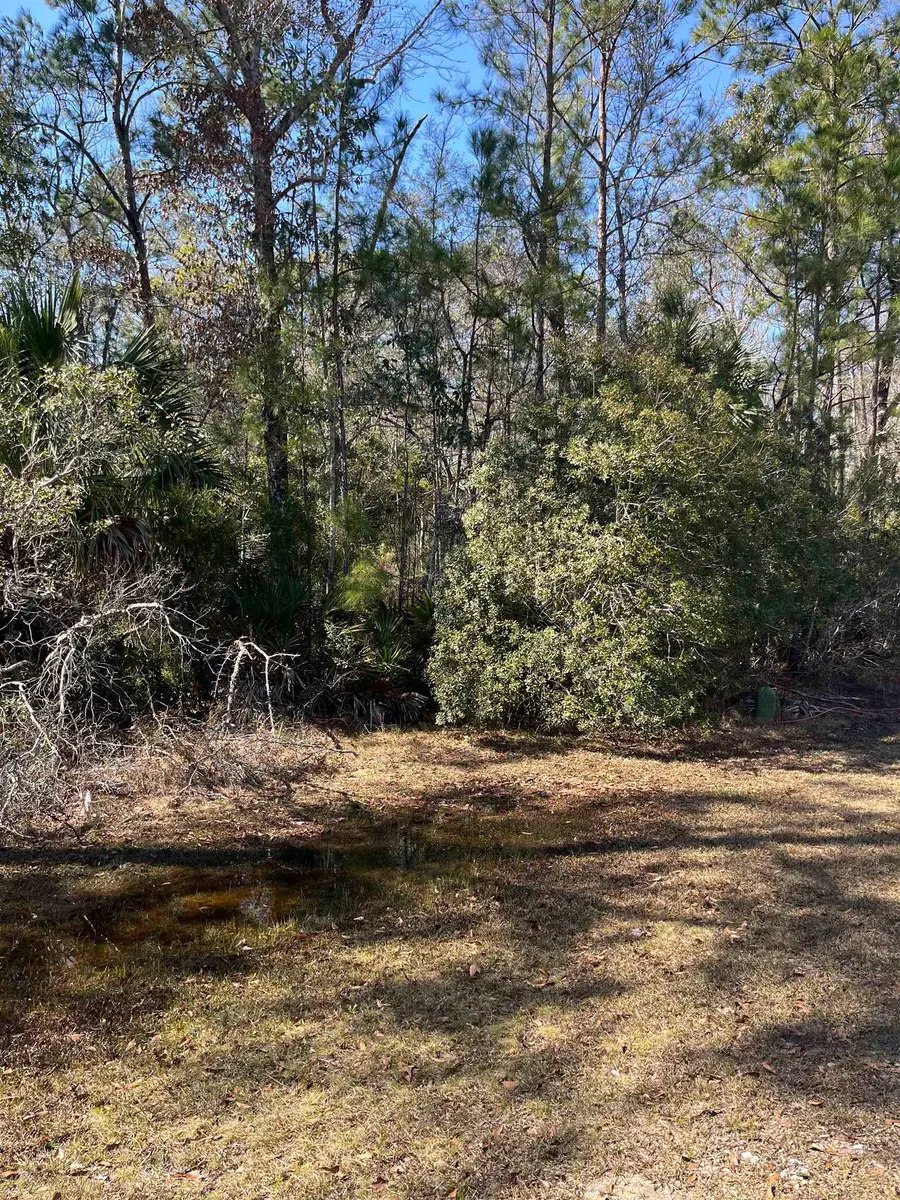 Lot 10 Burnt Pine Loop, Saint Marks, FL 32355 - #3