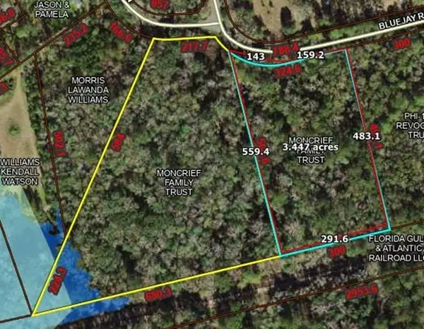 00 Mallard/blue Jay Lane #2/3, Monticello, FL 32344