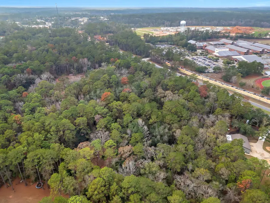 xxx Thomasville Road, Tallahassee, FL 32312 - #3