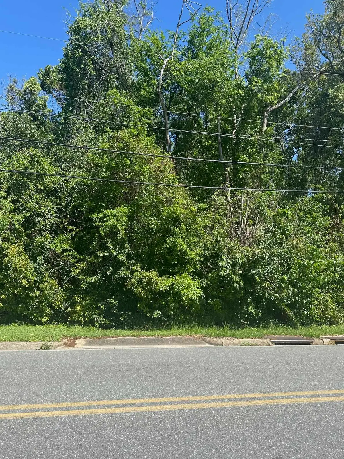xxx Cleveland Street, Quincy, FL 32351 - #1