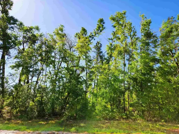Lot 14 NW Champion Oak Boulevard, Jennings, FL 32053