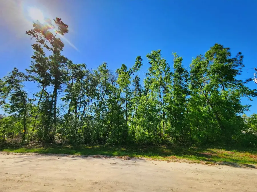 Lot 14 NW Champion Oak Boulevard, Jennings, FL 32053 - #3