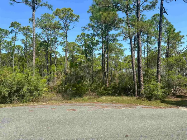 X Cessna Lane, Panacea, FL 32346