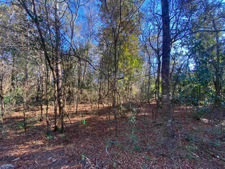 xxx J K Moore Road, Crawfordville, FL 32327 - #2