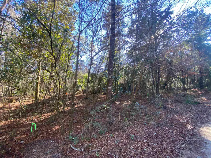 xxx J K Moore Road, Crawfordville, FL 32327 - #3