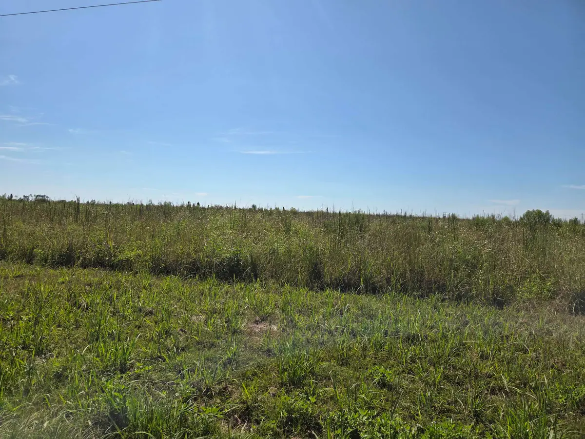XXX Oak Grove Road, Blountstown, FL 32424 - #1