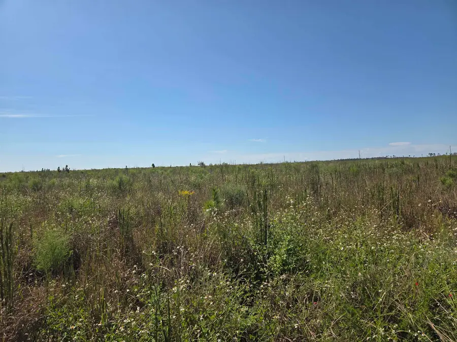 XXX Oak Grove Road, Blountstown, FL 32424 - #3