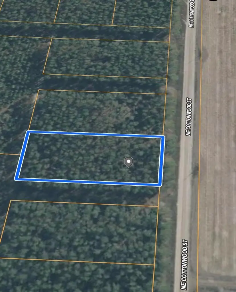 0 NE Cottonwood Street, Lee, FL 32059 - #3