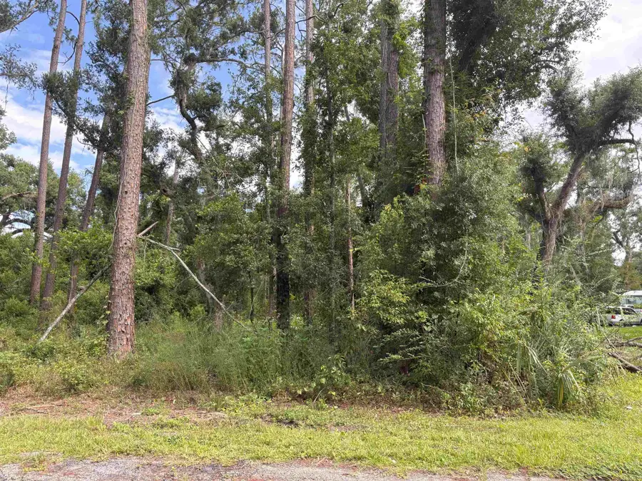 TBD N Veterans Drive, Perry, FL 32348 - #2