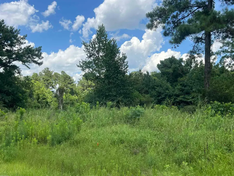 300 Twin Ponds Drive, Havana, FL 32333 - #3