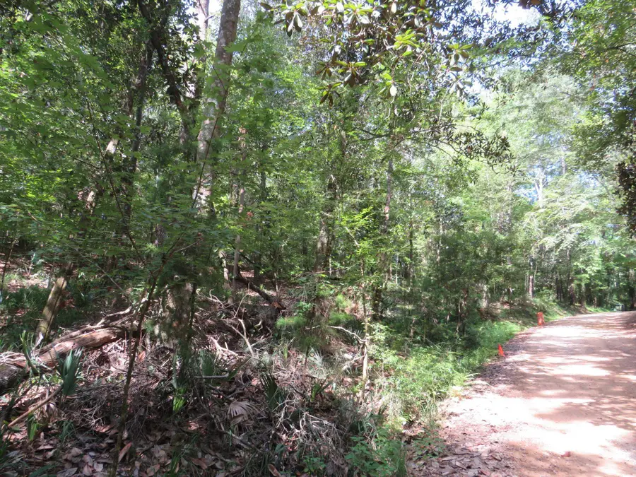 XXX Tallavana Trail, Havana, FL 32333 - #3