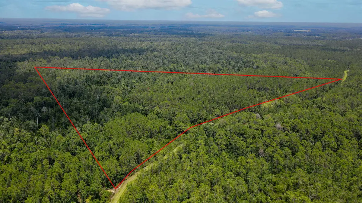Lot 115 SW Pier Road, Greenville, FL 32331 - #1