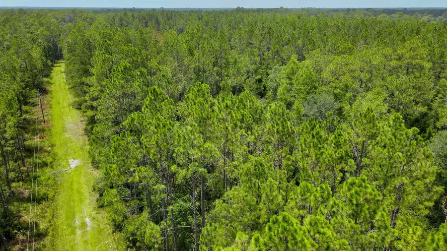 Lot 115 SW Pier Road, Greenville, FL 32331 - #2
