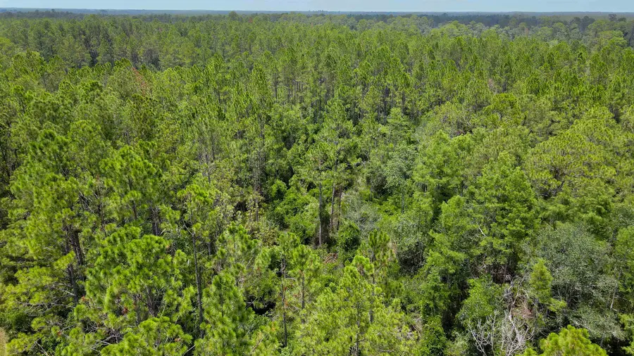 Lot 115 SW Pier Road, Greenville, FL 32331 - #3