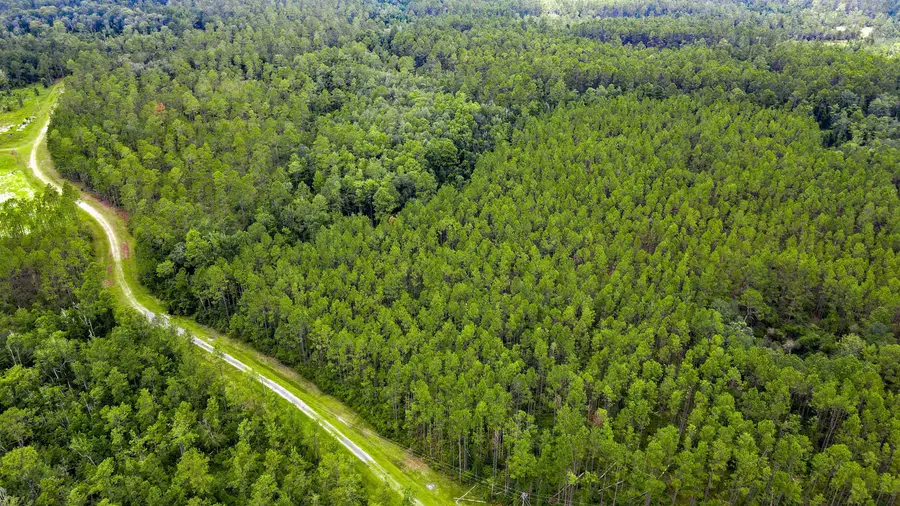 Lot 121 SW Pacific Drive, Greenville, FL 32331 - #2