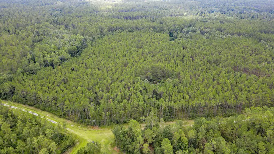 Lot 121 SW Pacific Drive, Greenville, FL 32331 - #3