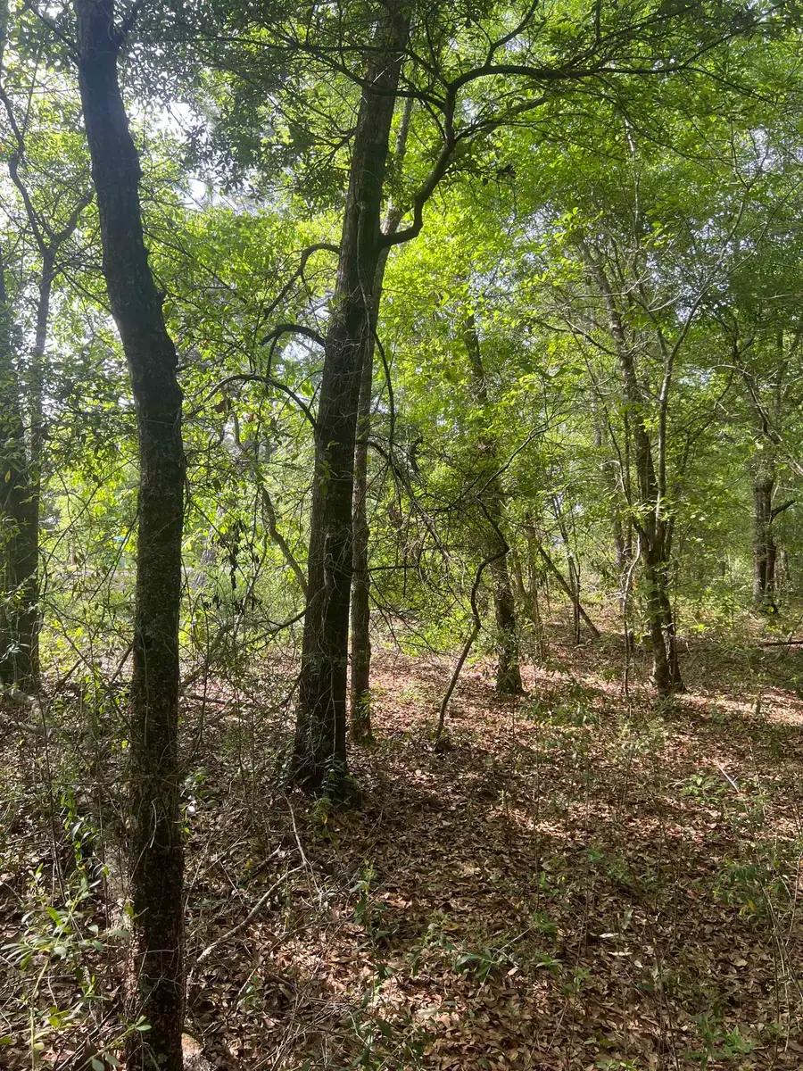 0 S Oak Road, Chattahoochee, FL 32324 - #2
