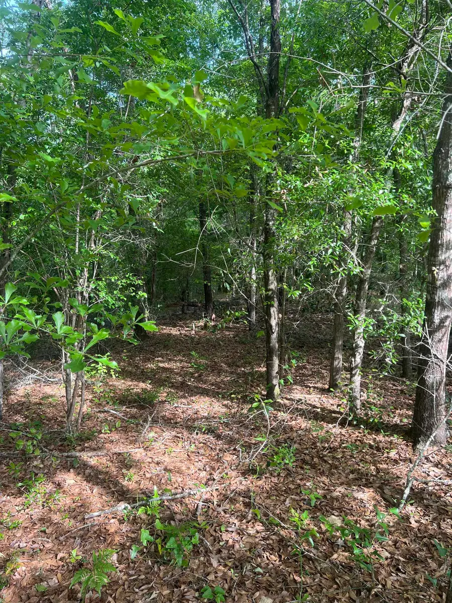 0 S Oak Road, Chattahoochee, FL 32324 - #3