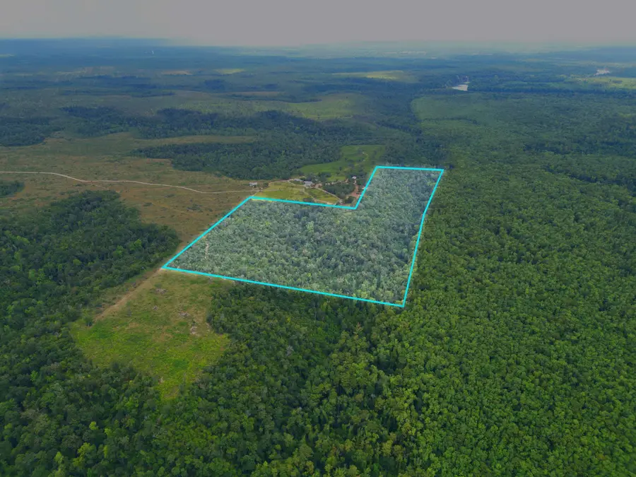 XXX NW Longleaf, Bristol, FL 32321 - #3