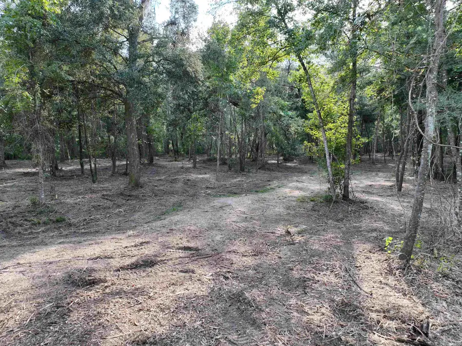 96 Sneads Drive, Greenville, FL 32331 - #3